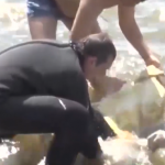Видео: Девять человек погибли на смоленских водоемах с начала купального сезона